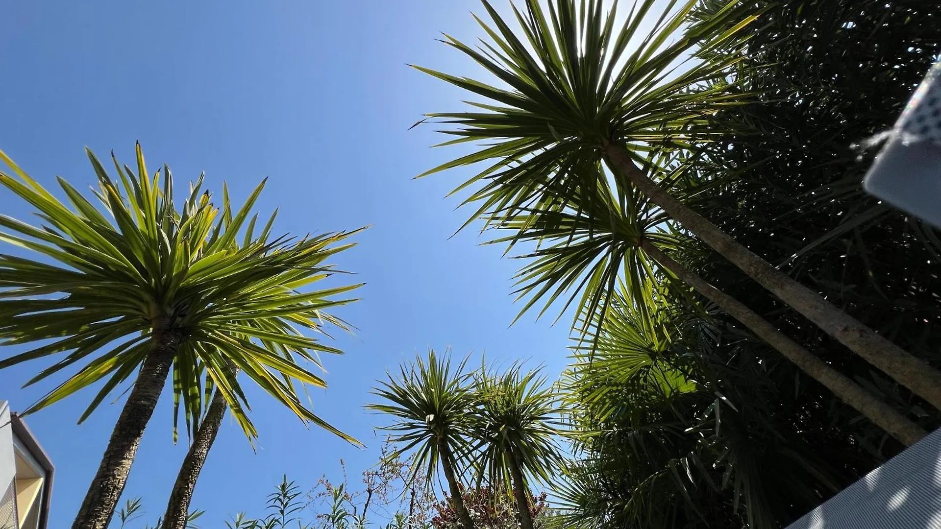 Casa Tre Palme Apartment Lazise